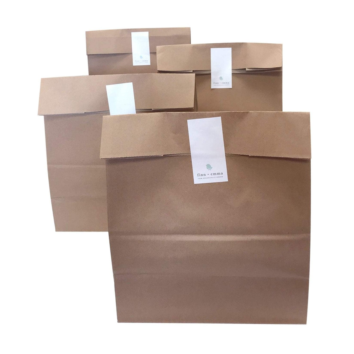 Baby's first year clothing grab bag bundle, 4 bags for 0-12 months