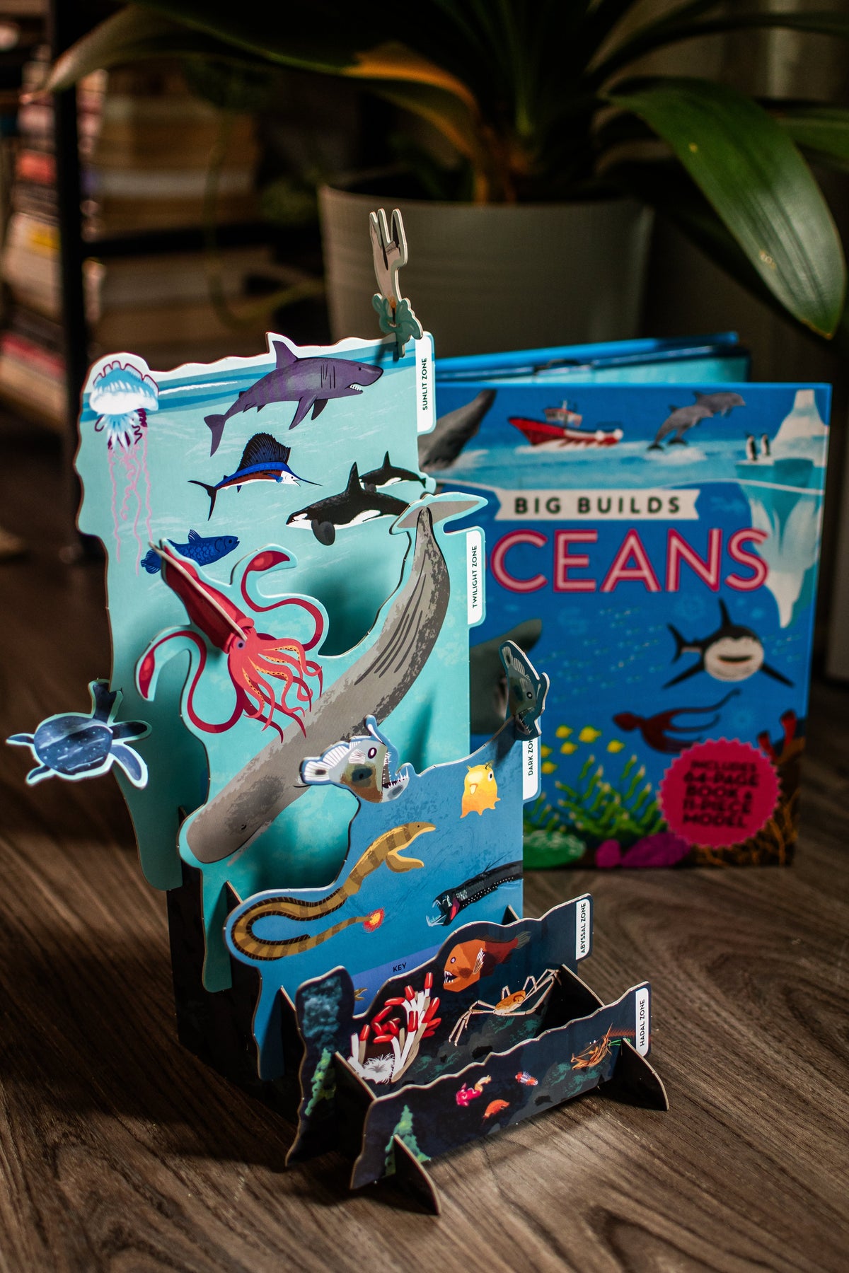 Big Builds Oceans 3D ocean STEM model book cover